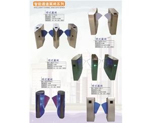 宁津智能通道翼闸系列