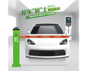 宁津RG-CW系列车位小道闸